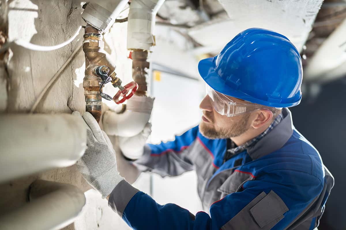 Professional Restoration Team